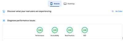 Mobile Lighthouse Score